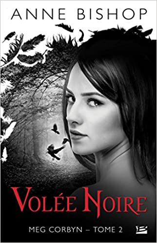 Volée noire Meg Corbyn tome 2