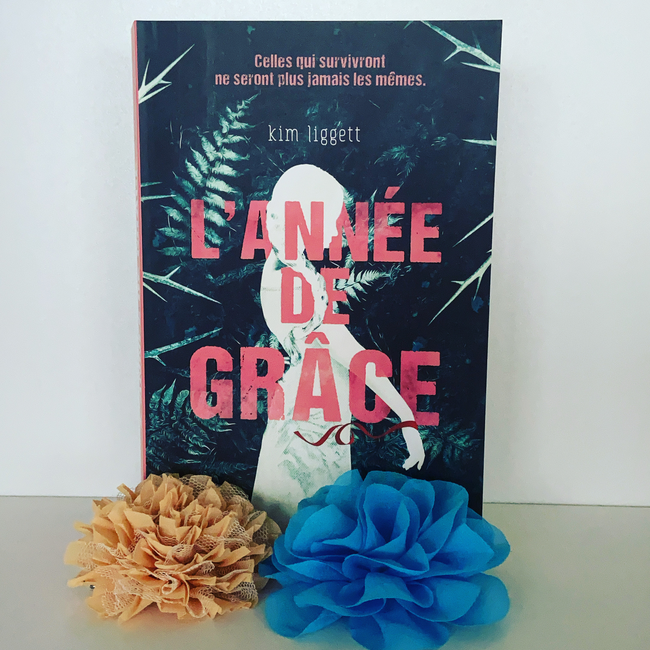 1F884425-552C-4B46-813E-E1BC66B731C3