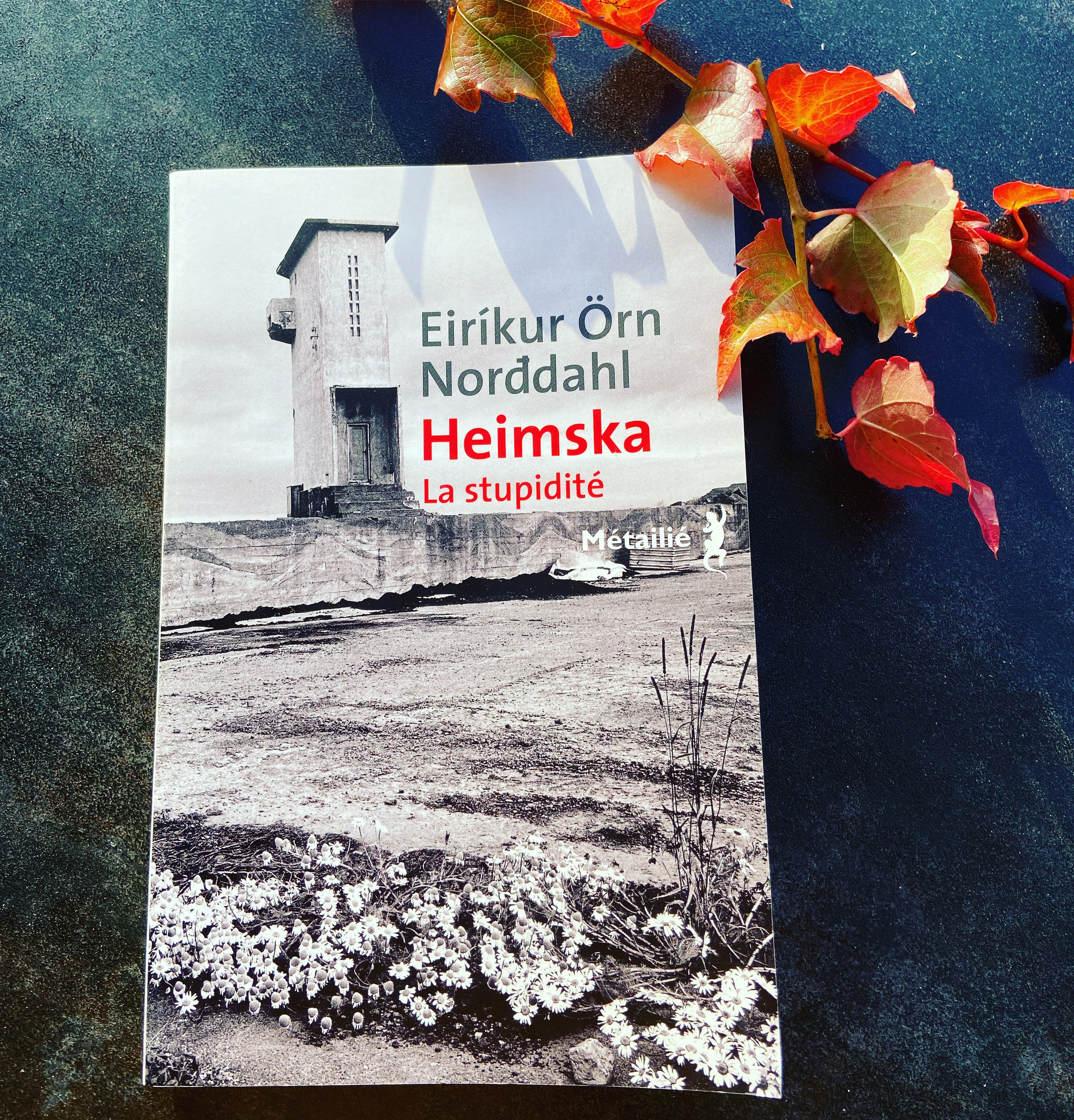 heimska, la stupidité