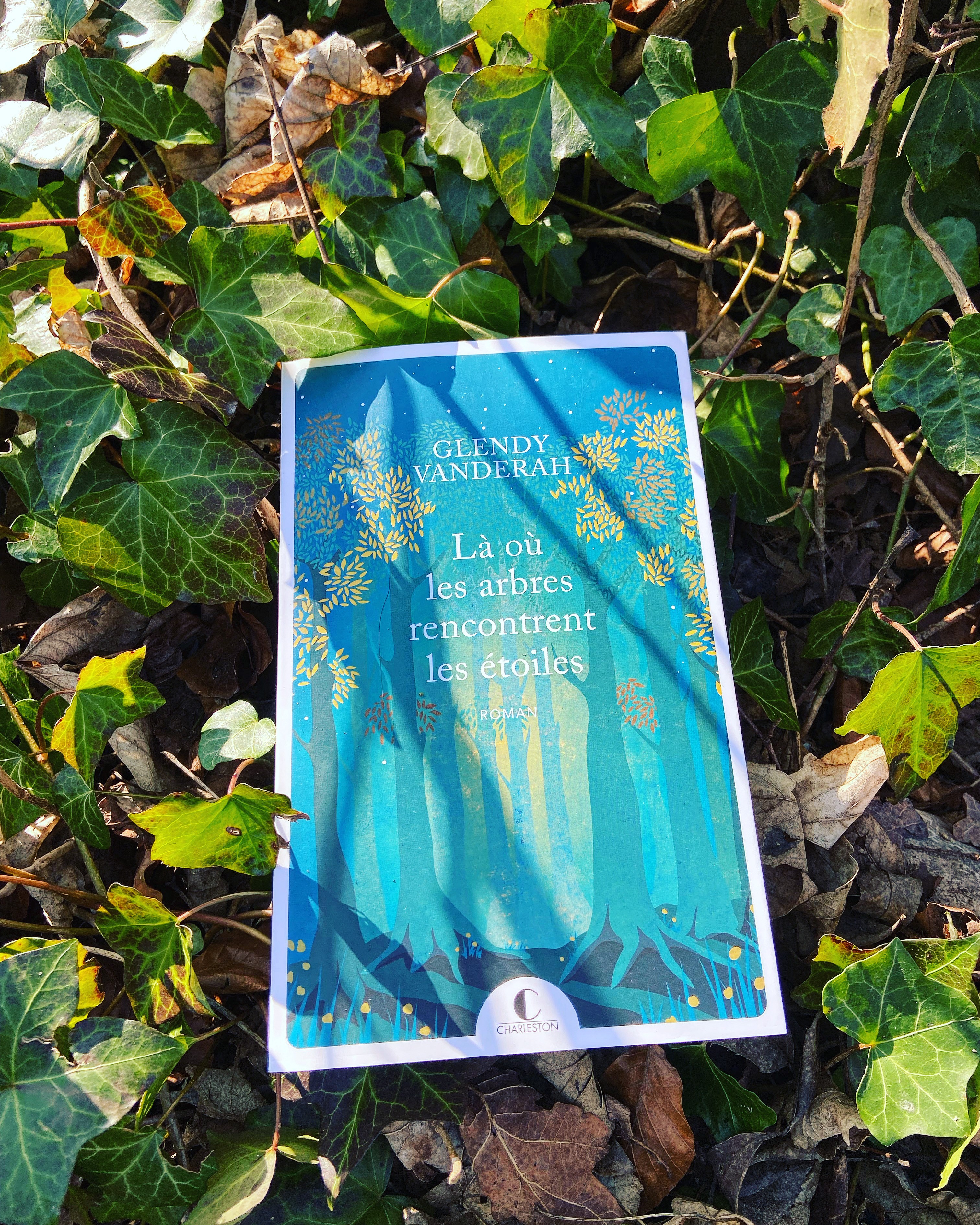 là où les arbres rencontrent les étoiles