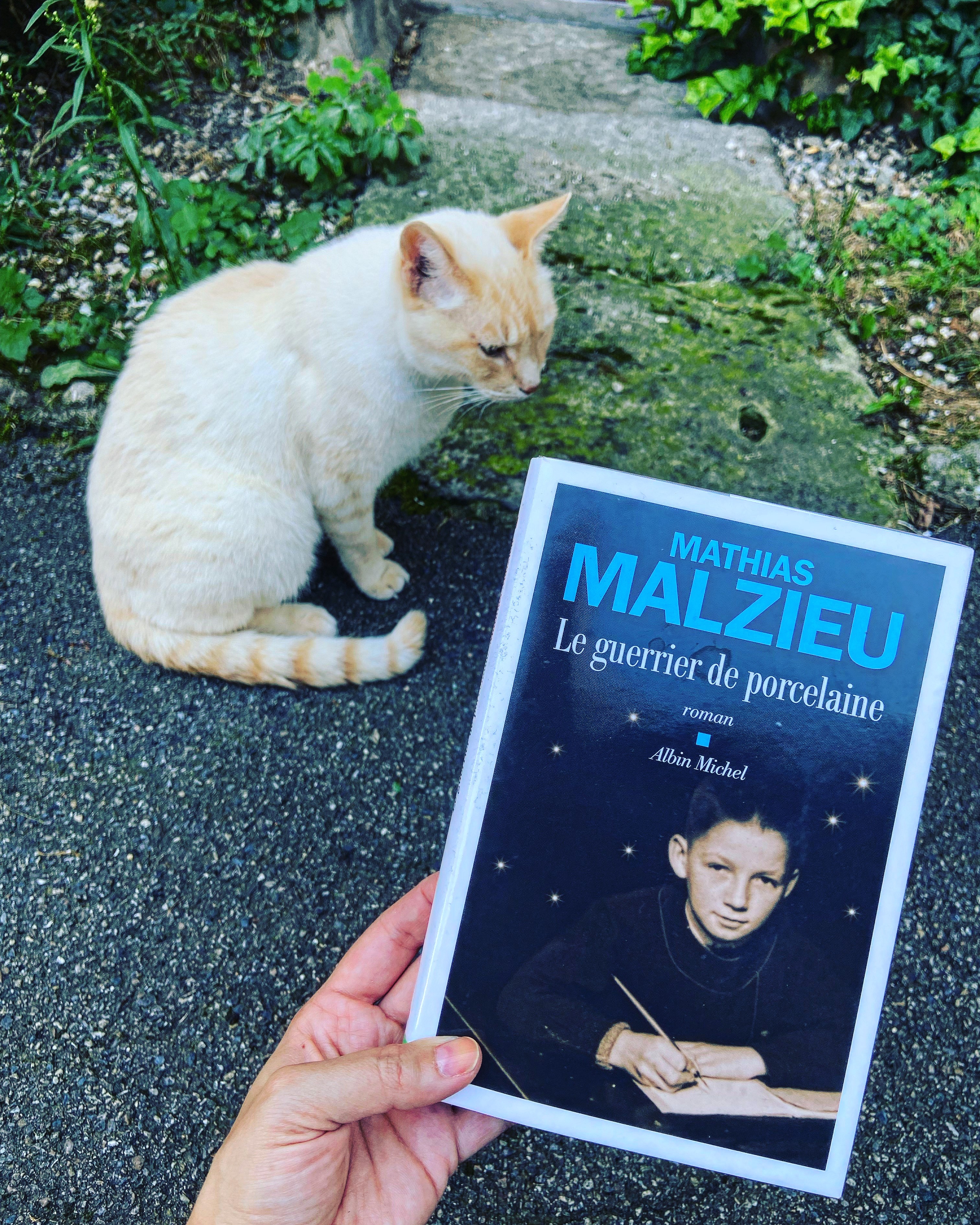 le guerrier de porcelaine