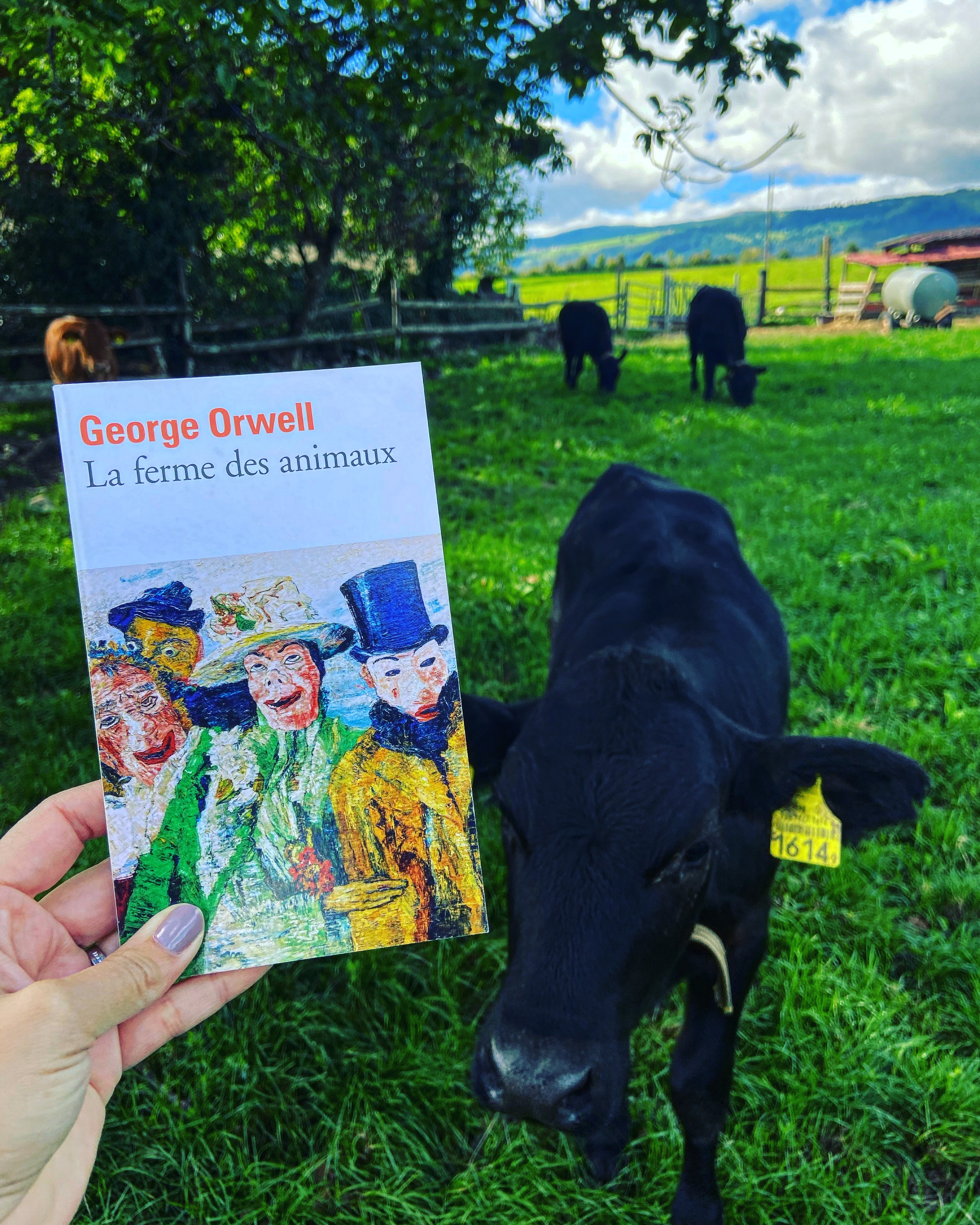 la ferme des animaux